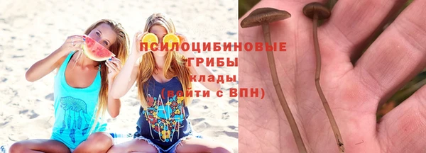ГАЛЛЮЦИНОГЕННЫЕ ГРИБЫ Абинск