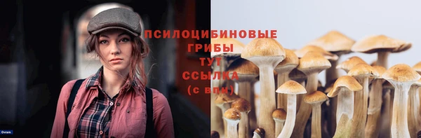 марки nbome Медвежьегорск