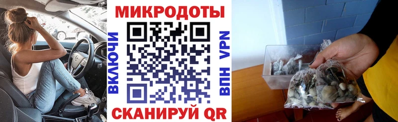Псилоцибиновые грибы мухоморы  blacksprut вход  Сусуман 